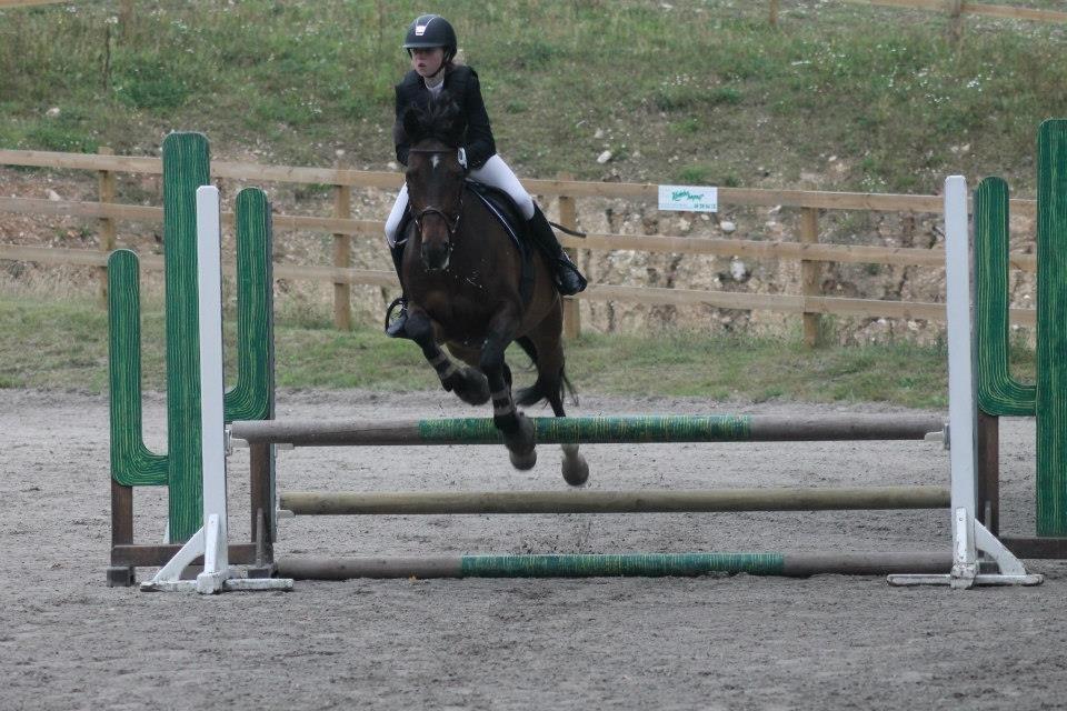 Anden særlig race Sabu billede 2