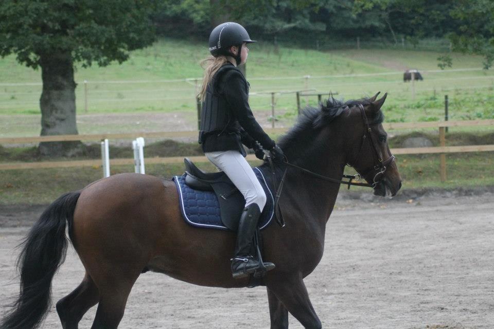 Anden særlig race Sabu billede 4