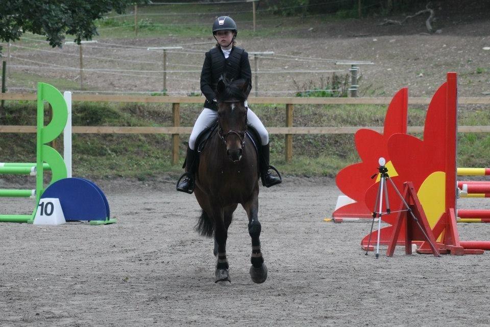 Anden særlig race Sabu billede 5