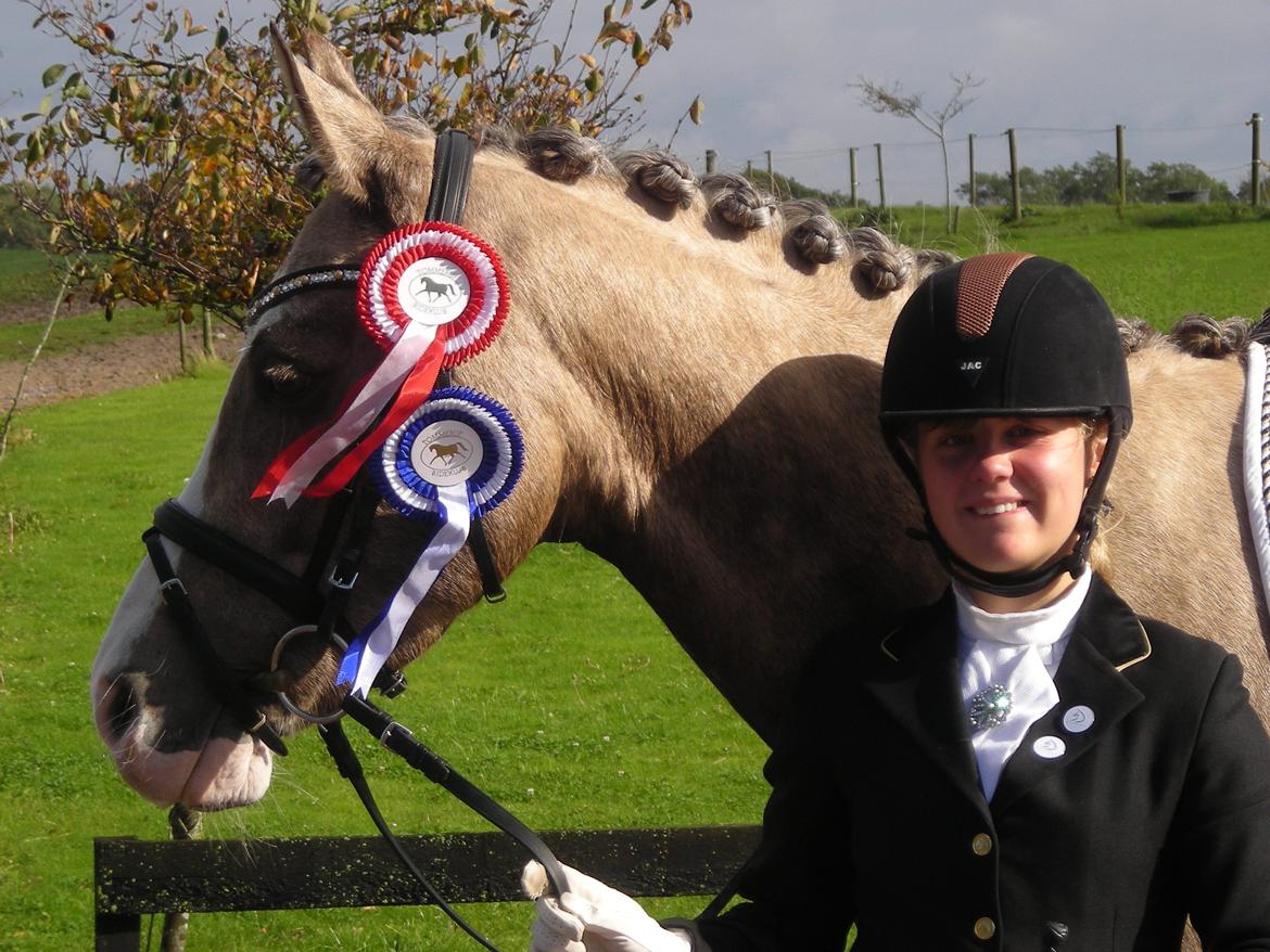 Hollandsk Sportspony Pokemon - 1. plads i LB2 til 69,62 % og 2. plads i LB1 til 68,22 % billede 18