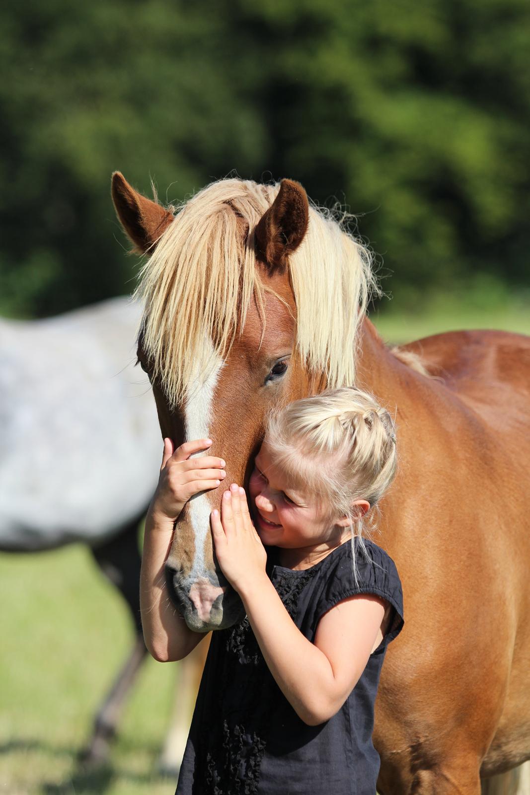 New Forest Lundemarksgaards Aura Ophelia - 1) Total børnepony! D. 28/08-2012. Foto: Mig billede 1