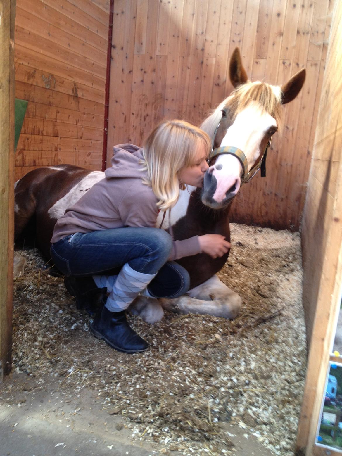 Pinto Karea Nyberg billede 7