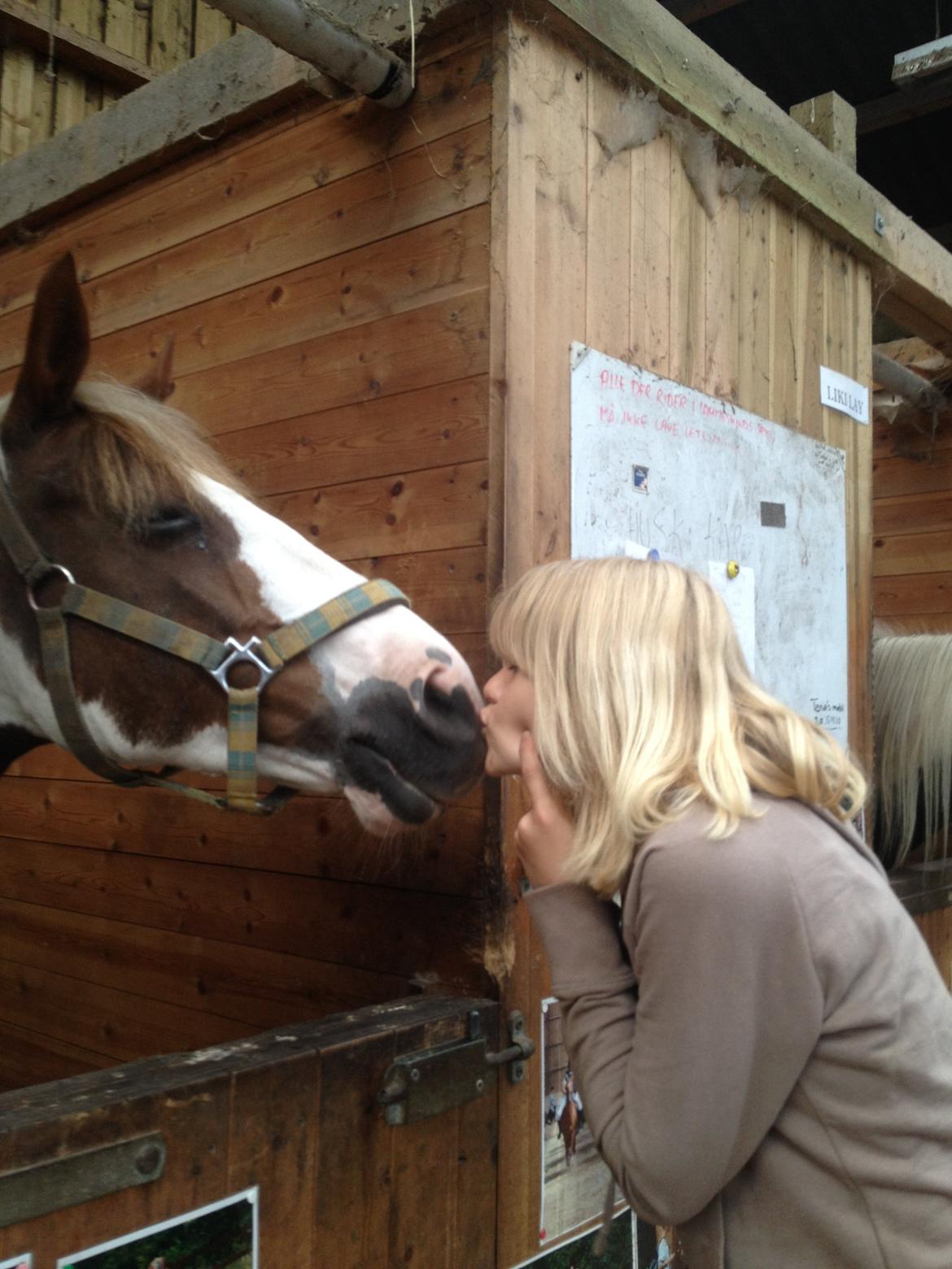 Pinto Karea Nyberg - "Må jeg få et kys skat<3"
Foto: Mathilde<3 billede 10