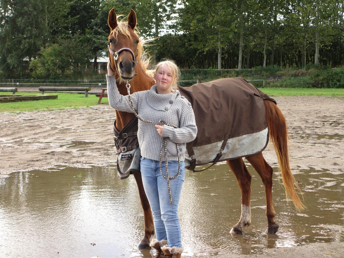 Arabisk fuldblod (OX) Zakiyah El Azraff billede 8