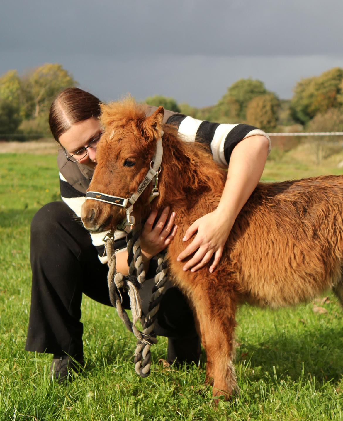Anden særlig race Cera *Dele-Pony* (SOLGT) - Hygge med Cera :) billede 6