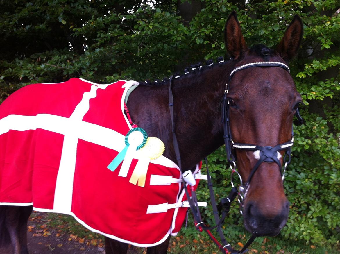 Anden særlig race Fladbjergs O'Mally(Tidl. hest!) - Vores første stævne sammen!:D<3
en tredje plads og en første plads 
så stolt<3
29/9 2012 billede 12
