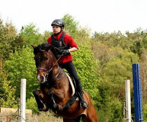 New Forest Odbjergs Toulouse billede 1