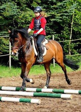 New Forest Odbjergs Toulouse billede 3