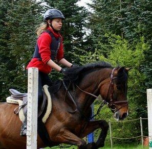 New Forest Odbjergs Toulouse billede 4