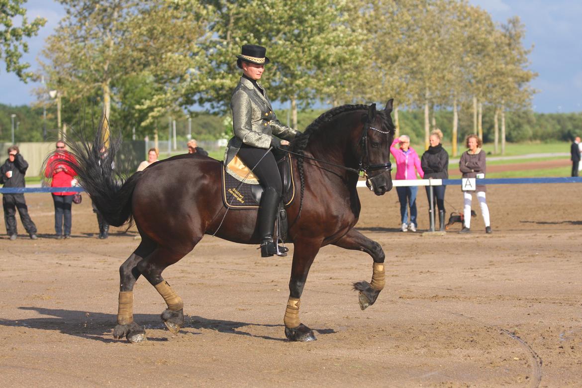 Frieser Hidde fan de"kromme Jelte' STER SPORT billede 2