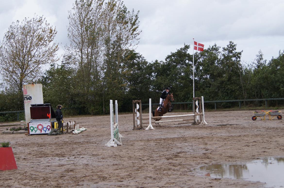Anden særlig race MILLE - Områdemesterskaberne i Farsø. sluttede med 12. fejl i 2.runde billede 19