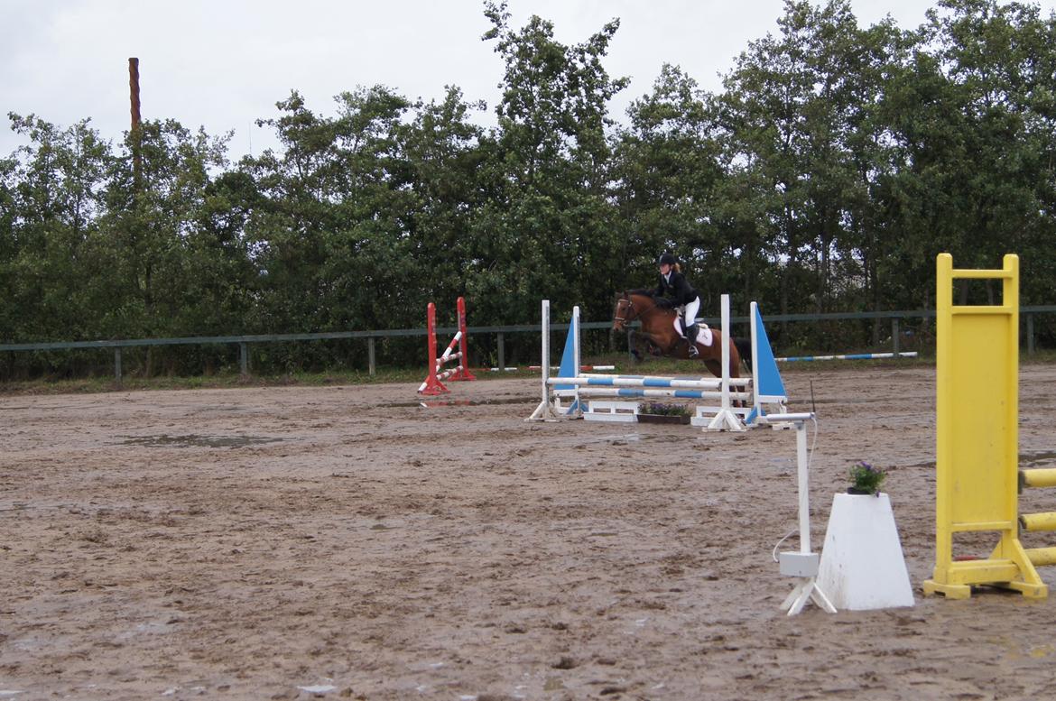 Anden særlig race MILLE - Områdemesterskaberne i Farsø. sluttede med 12. fejl i 2.runde billede 20