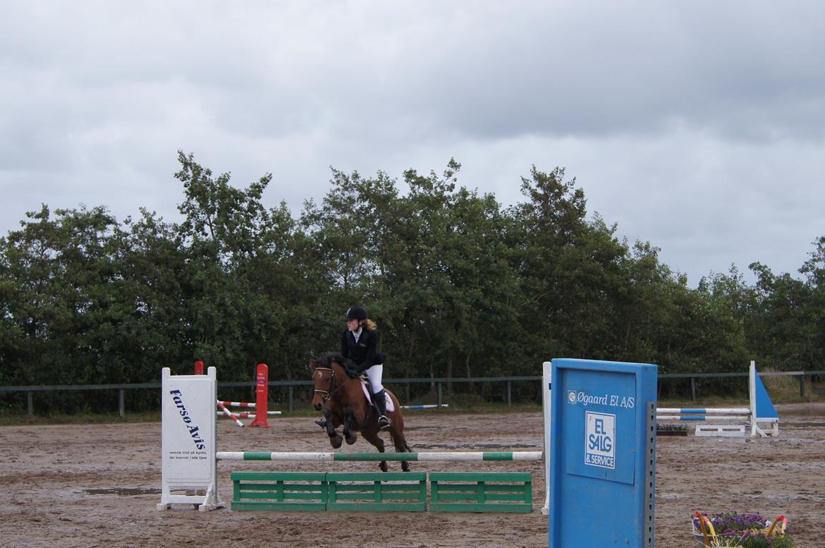 Anden særlig race MILLE - Områdemesterskaberne i Farsø. sluttede med 12. fejl i 2.runde billede 11