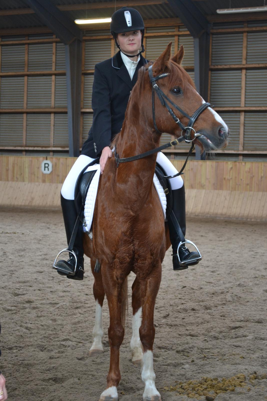 Anden særlig race Diablo billede 10