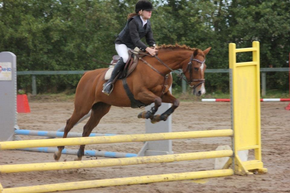 Anden særlig race Lindholms Line<3 RIP:'(:'(<3<3 - Områdesmesterskab:-) billede 10