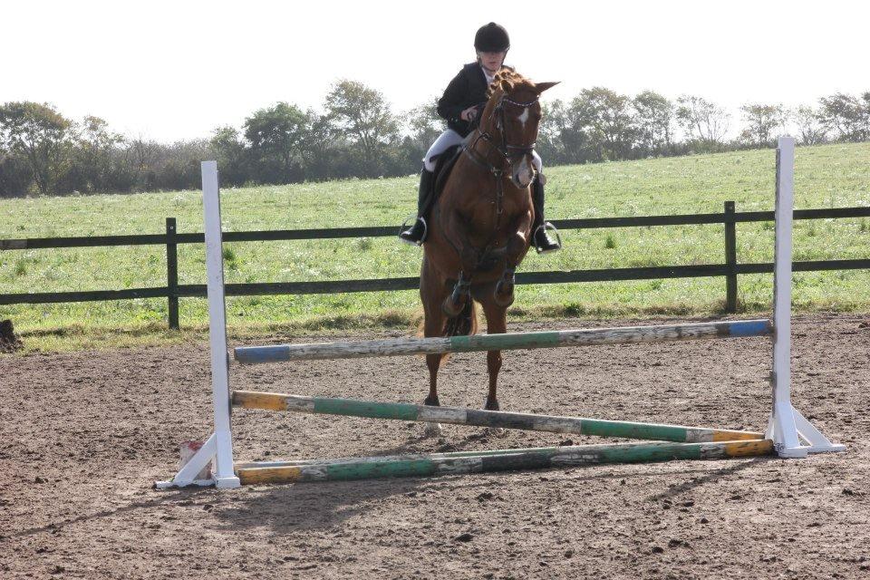 Anden særlig race Lindholms Line<3 RIP:'(:'(<3<3 - Line vil aldrig nogensinde tage en bom, så overspringer på alle spring ;-) billede 11