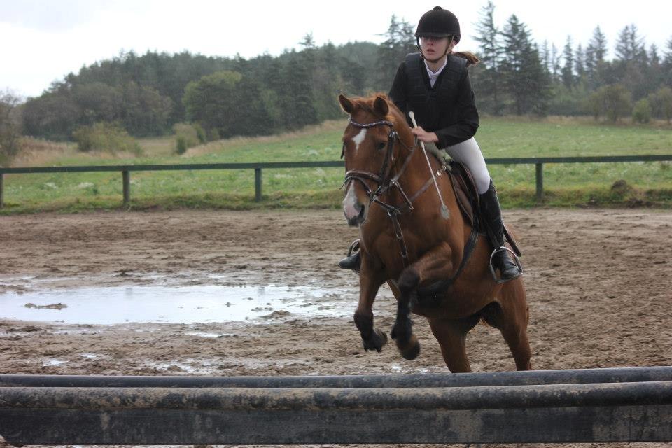 Anden særlig race Lindholms Line<3 RIP:'(:'(<3<3 - Områdesmesterskab 2012!
LD eller LC? :-D billede 12