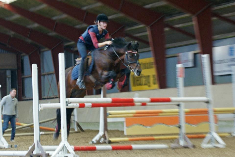 New Forest Sirius Hippios - WR træning 28 september billede 20