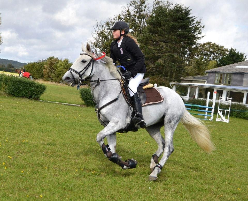 Connemara Thamdrup's Real Joy (solgt) - Vinder LB** 2012 billede 16