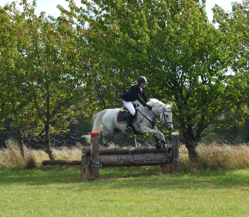 Connemara Thamdrup's Real Joy (solgt) billede 17