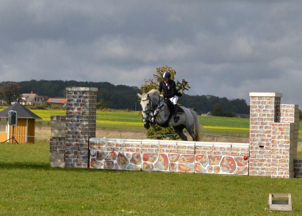 Connemara Thamdrup's Real Joy (solgt) billede 18