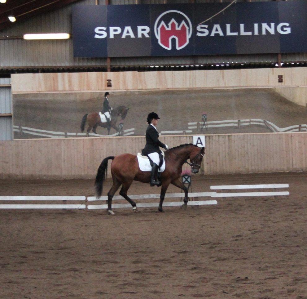 DSP Fontaine billede 17