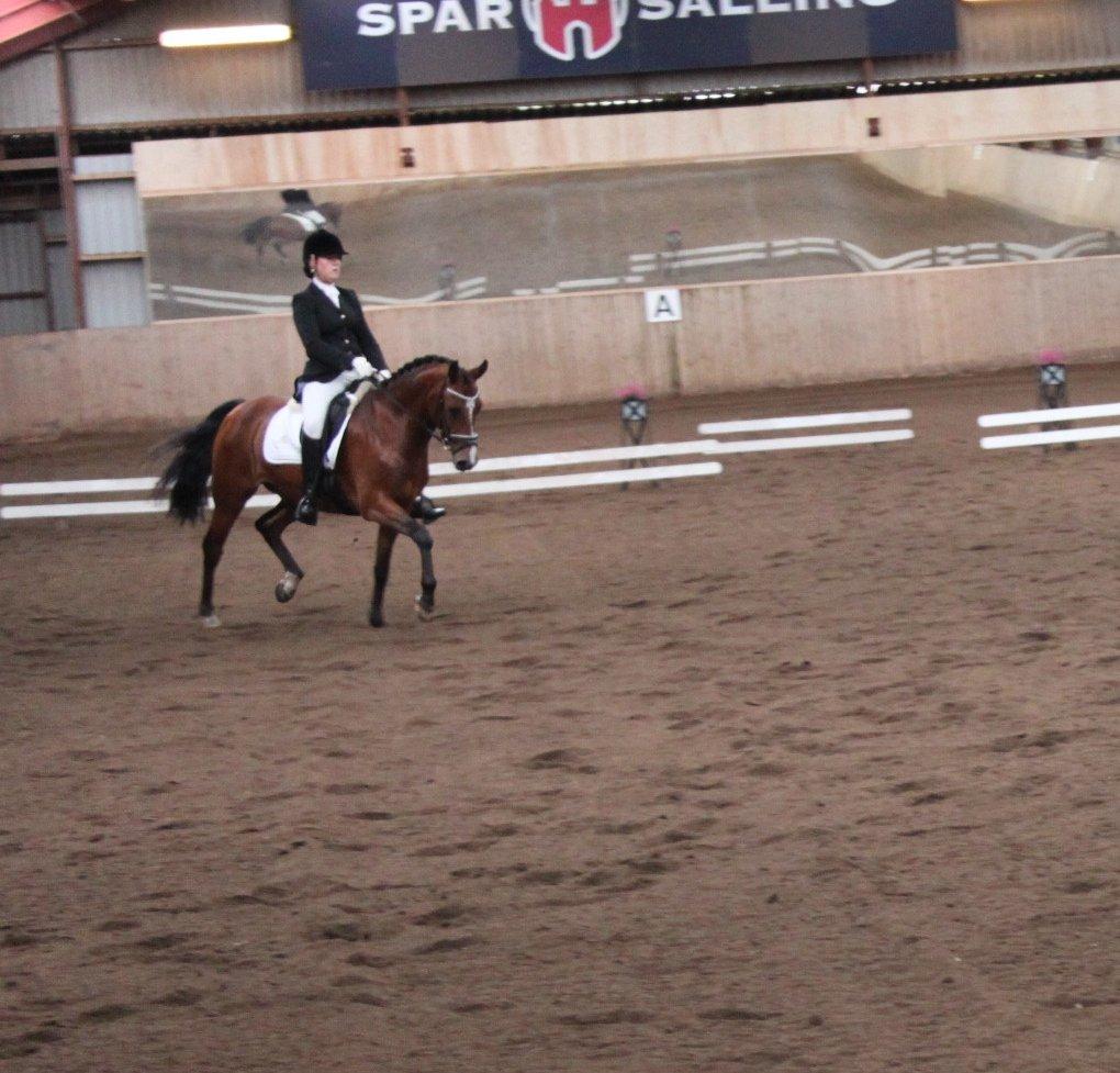 DSP Fontaine billede 9