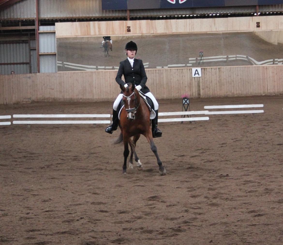 DSP Fontaine billede 6