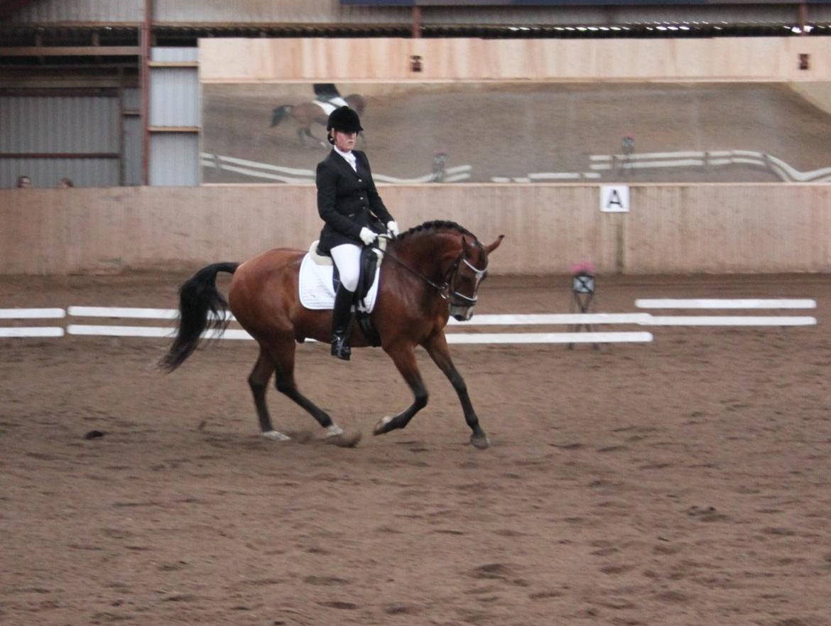 DSP Fontaine billede 14