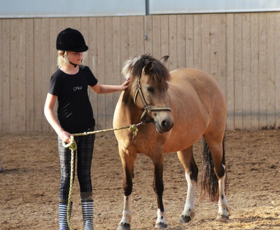 Anden særlig race Bonni - I sommers! -Taget af Ronja Thomsen billede 14