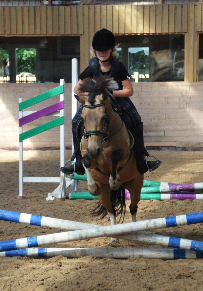 Anden særlig race Bonni - I sommers! -Taget af Ronja Thomsen billede 15