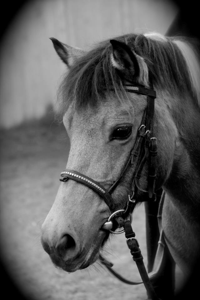 Anden særlig race Bonni - You're my favourite! <3 billede 16