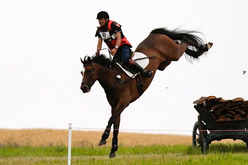 Trakehner Lasse e. Buddenbrock - Et par bagben der vil noget :D billede 9