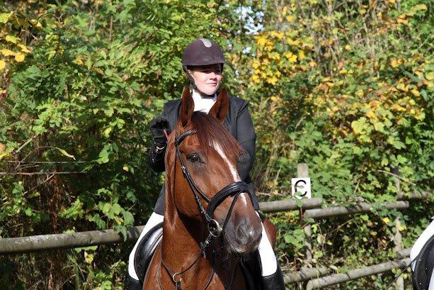 Dansk Varmblod Don Lou (Nando) billede 20