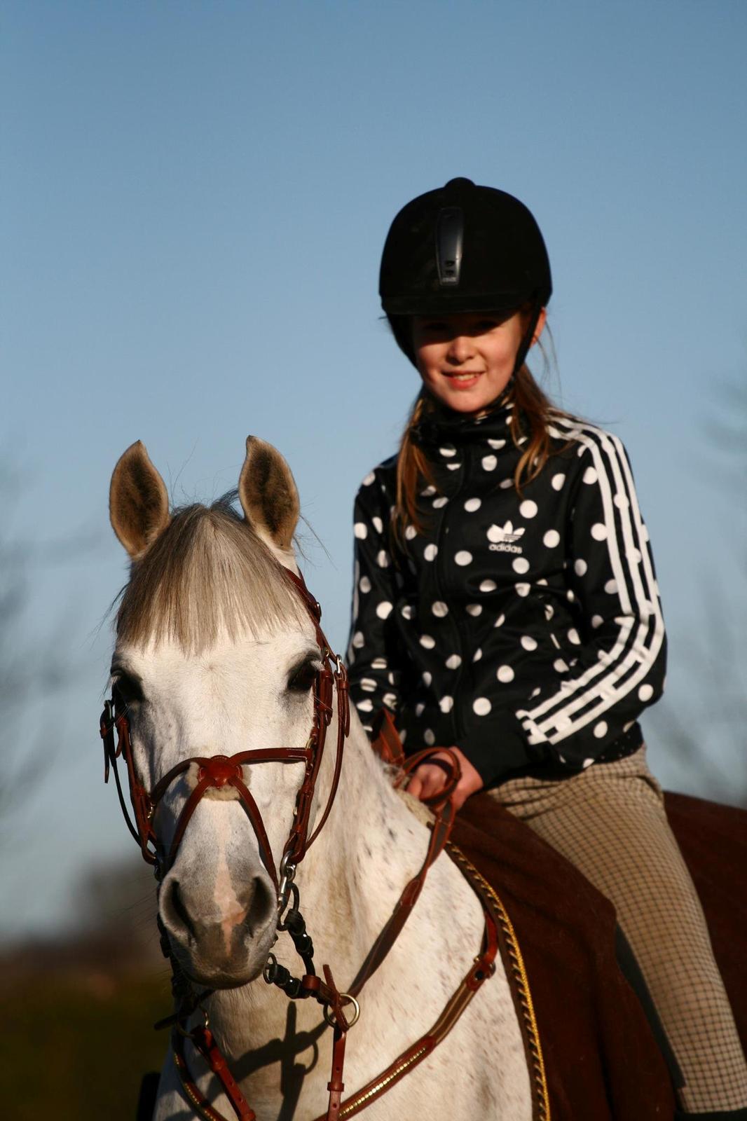 Anden særlig race Lucas - Efter spring - træning :D billede 10