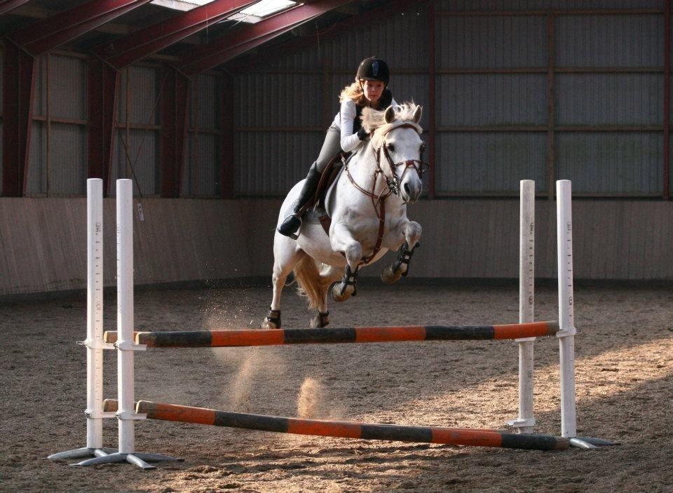 Anden særlig race Lucas - Lucas eeeelsker at springe!:D billede 11