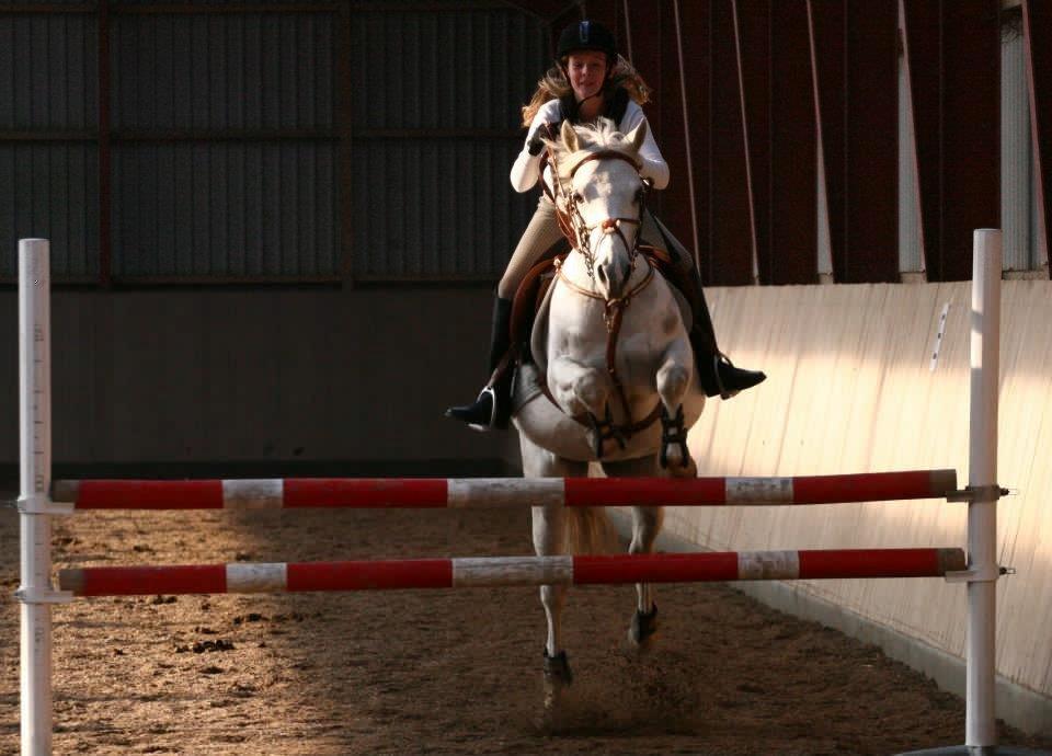 Anden særlig race Lucas billede 12