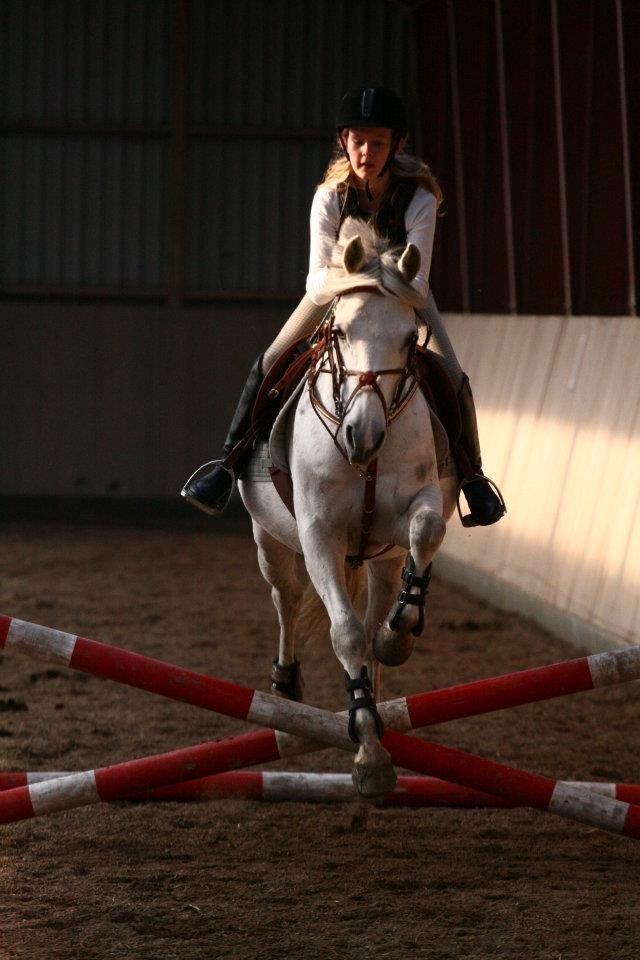 Anden særlig race Lucas billede 13