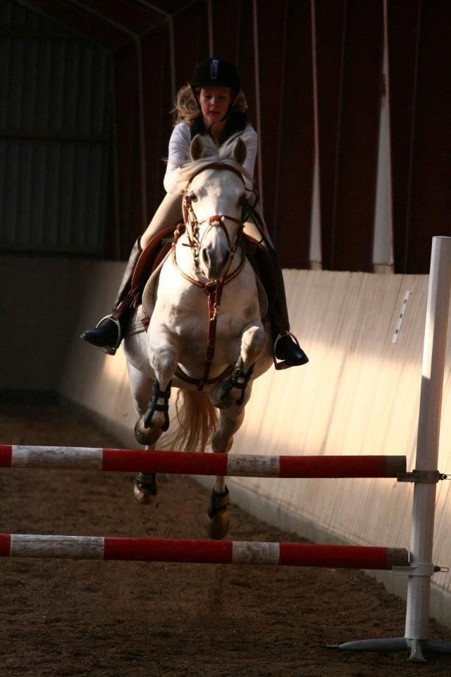 Anden særlig race Lucas billede 18