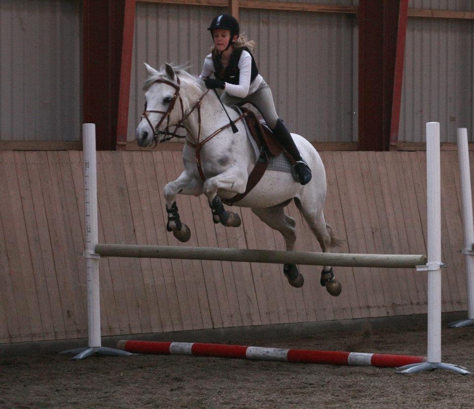 Anden særlig race Lucas billede 19