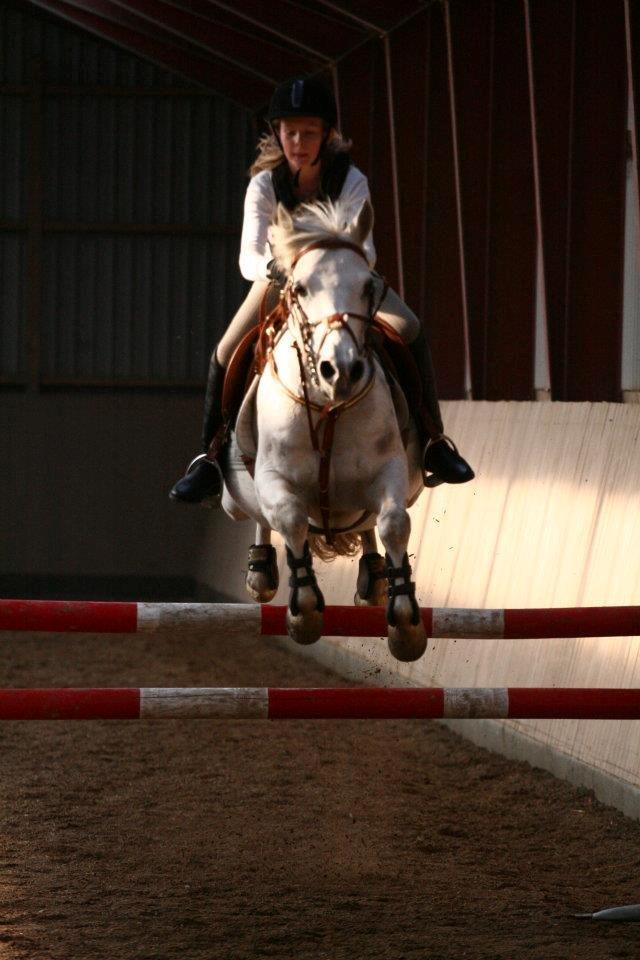 Anden særlig race Lucas billede 20