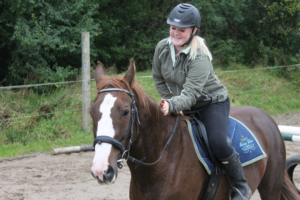 Dansk Varmblod KAWAN - 2012. Ååårh, min skat<3 billede 16