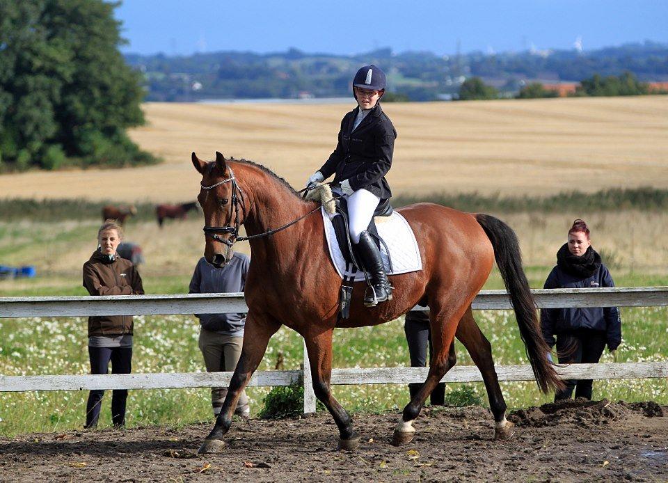 Tysk Varmblod Mac Kenroy - Revelhøj Trænings stævne :D
Lørdag d. 22 September 2012

Fotograf: Pia Lundberg :p billede 13