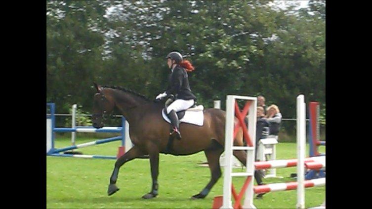 Dansk Varmblod Cowboy-L billede 18