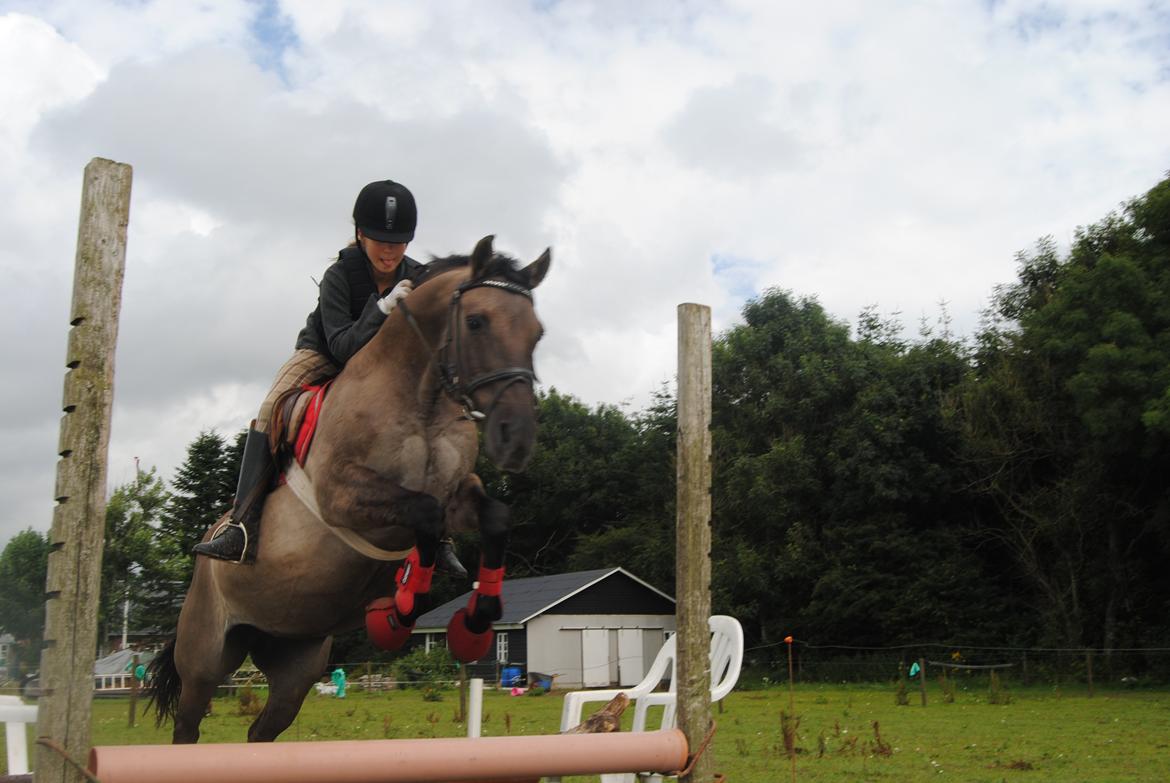 Anden særlig race Lorell - springtræning med min veninde <3 billede 6