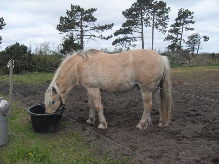 {{currentPhoto.altText}} billede {{currentPhoto.number}}