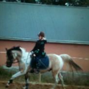 Anden særlig race Højagers Speedy