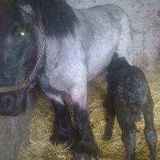 Belgier Zita van`t  Keuzegoed