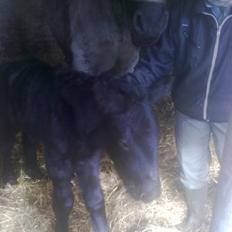 Belgier Zita van`t  Keuzegoed