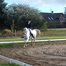 Anden særlig race Just My Luck